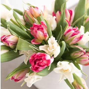 Flower, Pink, Bouquet, Cut flowers, Plant, Flower Arranging, Flowering plant, Petal, Floristry, Floral design, 