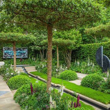 long view of the perennial garden with love by richard miers rhs chelsea 2022 copyright