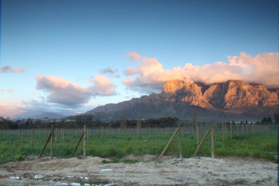 a long weekend in boshcendal, stellenbosch, wine country