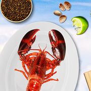 Food, Cuisine, Dish, Seafood, Lobster, Ingredient, Dendrobranchiata, Caridean shrimp, Crustacean, Shrimp, 