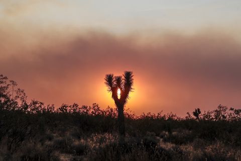 a smokey sunset as the bobcat fire continues to burn in the angeles national forest on september 22, 2020