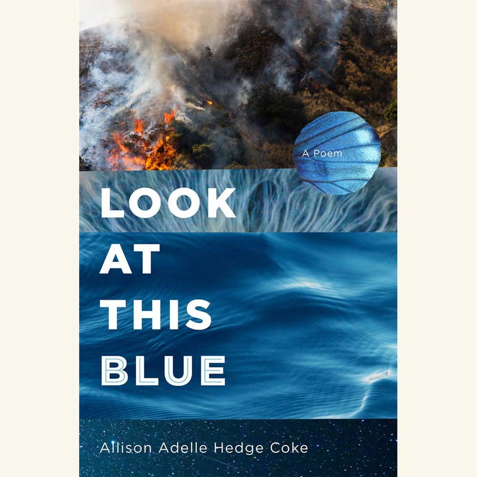 look at this blue, allison adelle hedge coke