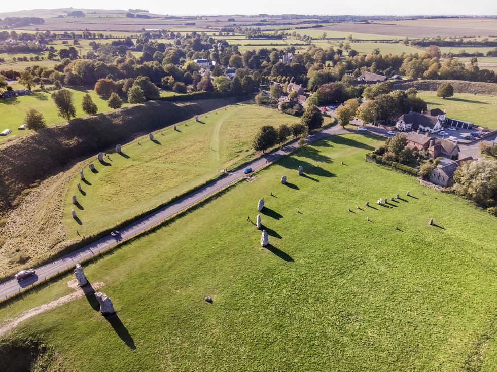looking down at stone circles in grassy field shot from air