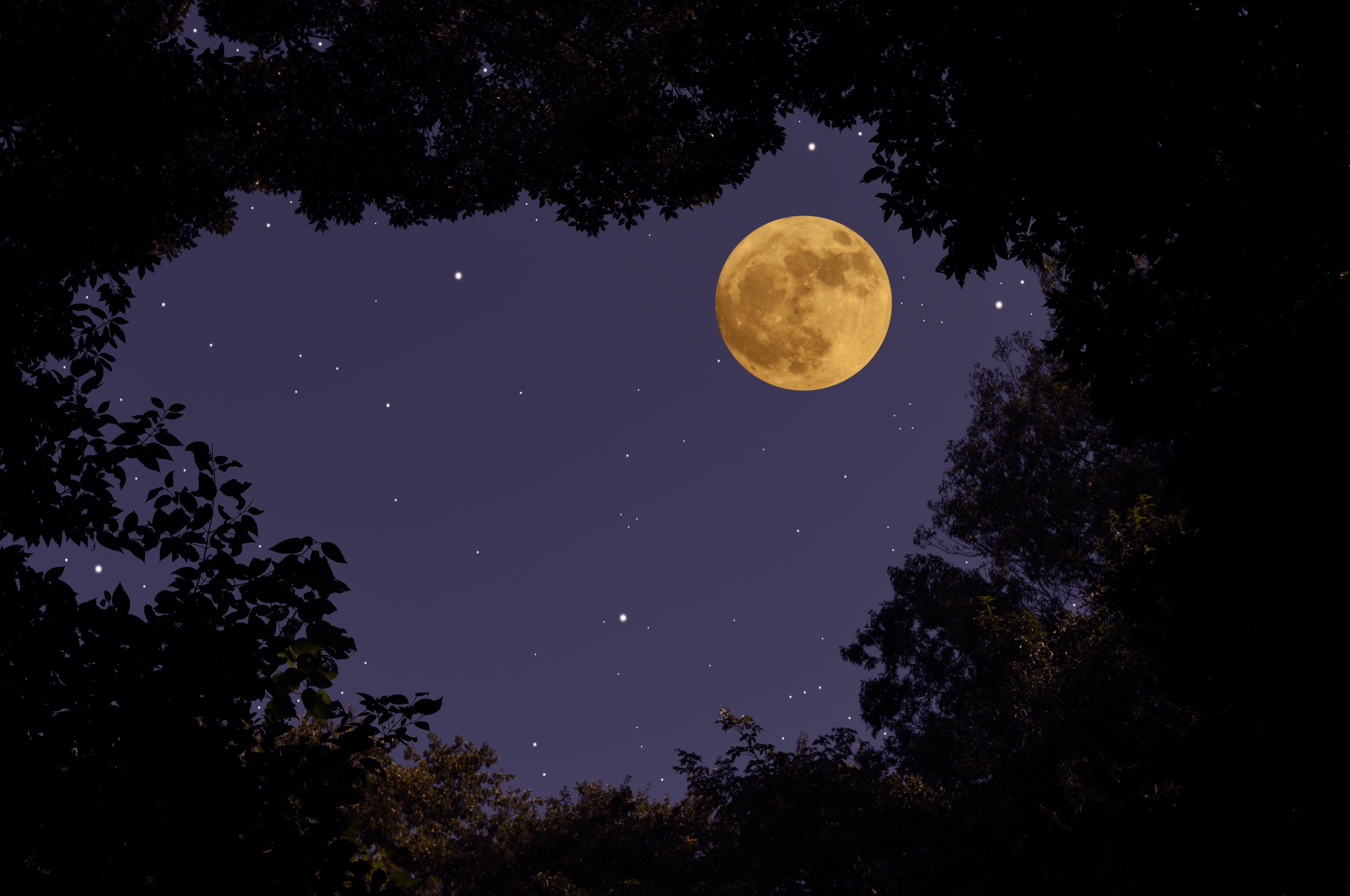 When Is The Next Full Moon? 2023-24 Full Moon Dates And Times