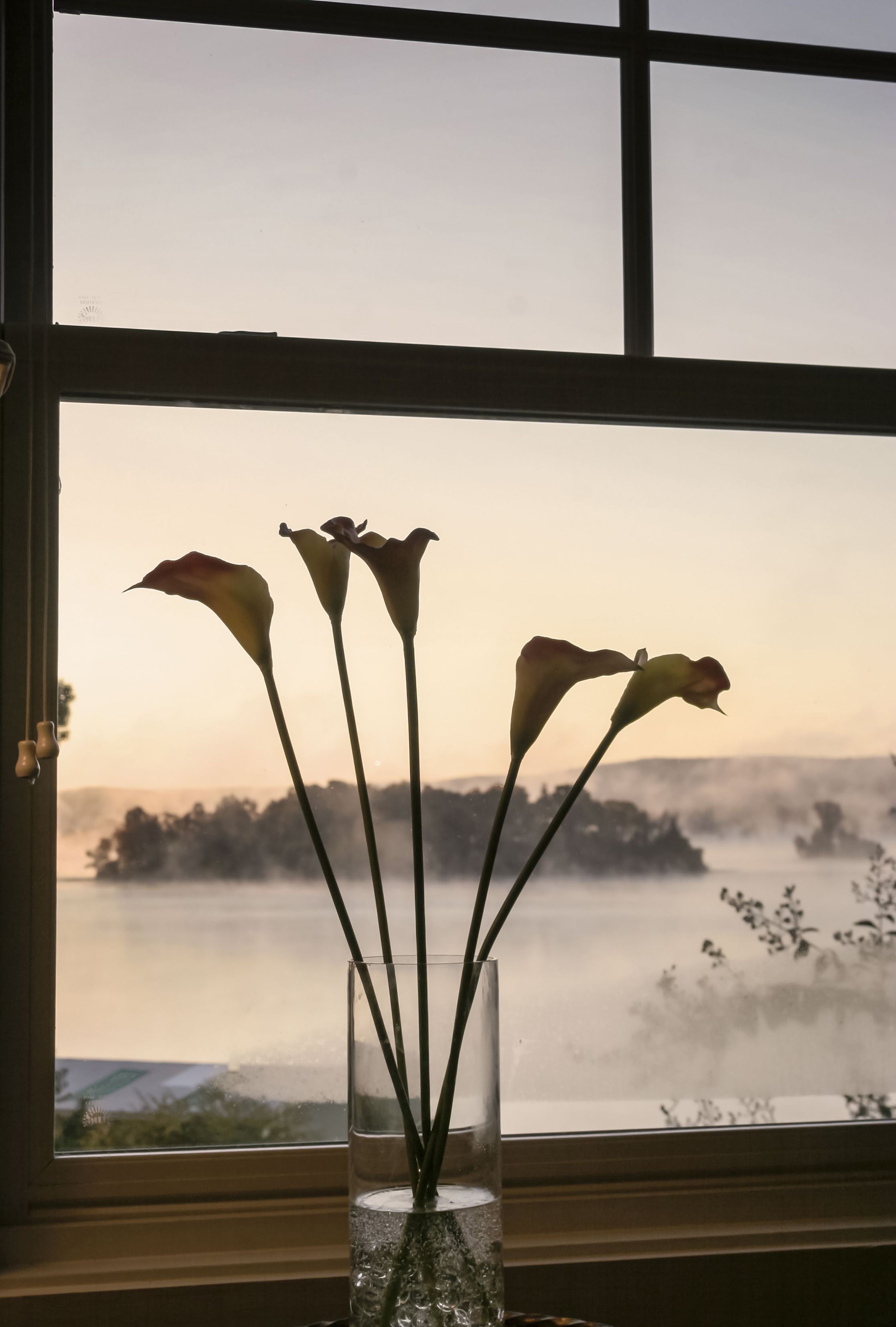 25 Most Romantic Bed And Breakfasts Across America