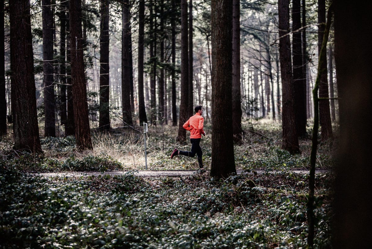 man hardlopen bos alleen