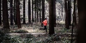 man hardlopen bos alleen