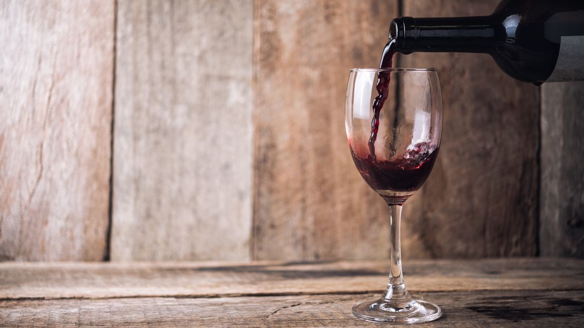 evidencia pasta motivo Los 20 mejores vinos tintos ordenados del más barato al más caro