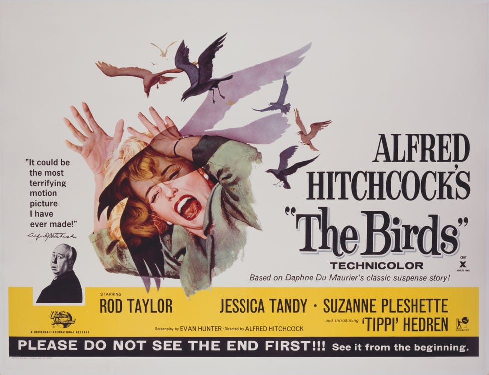 los pajaros alfred hitchcock curiosidades rodaje