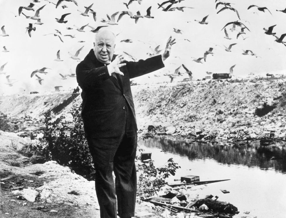 los pajaros alfred hitchcock curiosidades rodaje