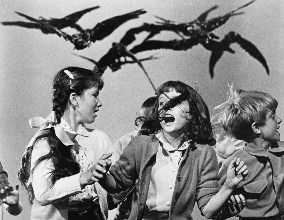 los pajaros alfred hitchcock curiosidades rodaje