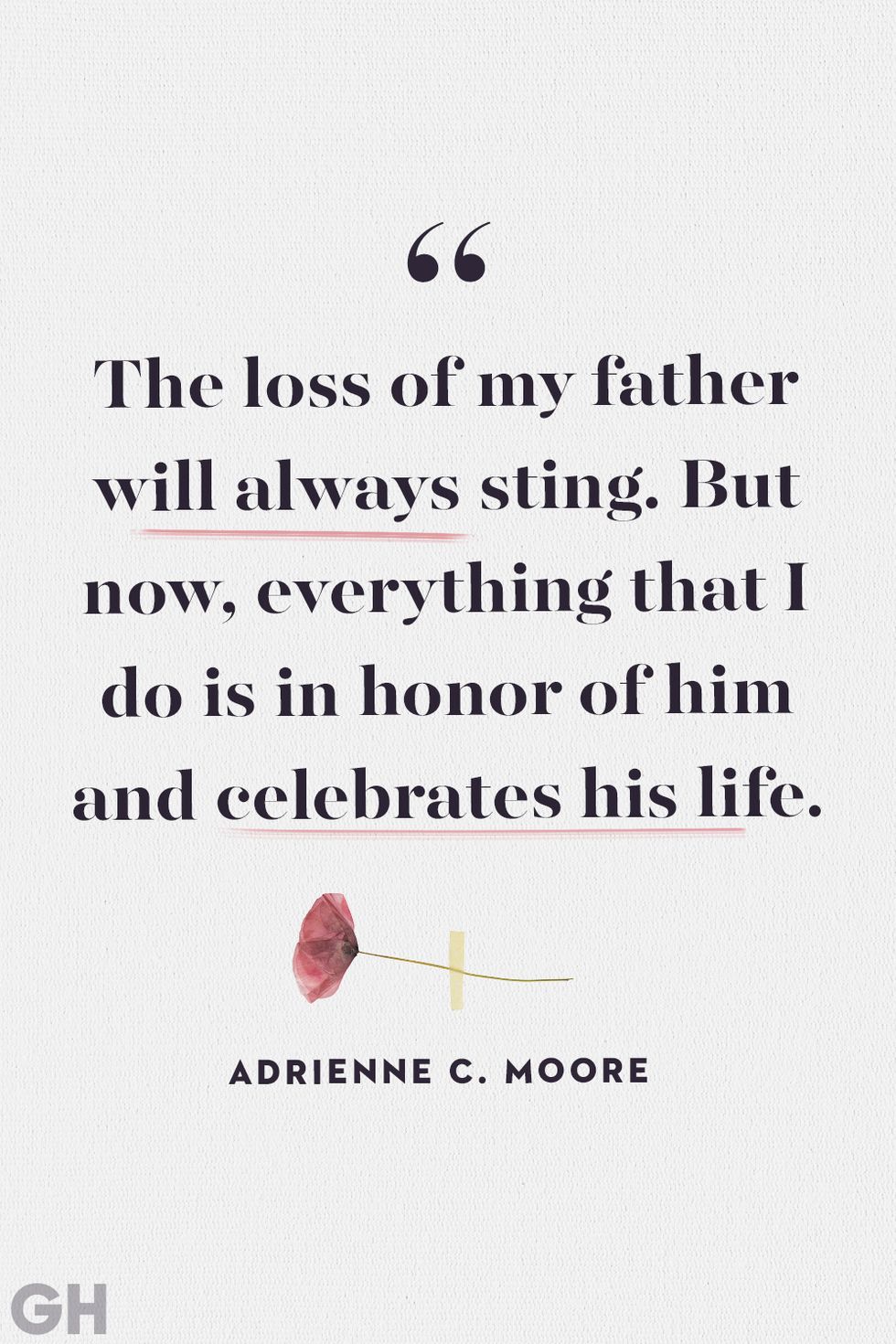black text on grey background with red flower reading the loss of my father will always sting but now everything that i do is in honor of him and celebrates his life by adrienne c moore