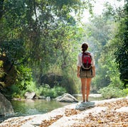 Woman with backpack trekking in rainforest woman with backpack hiking in rainforest