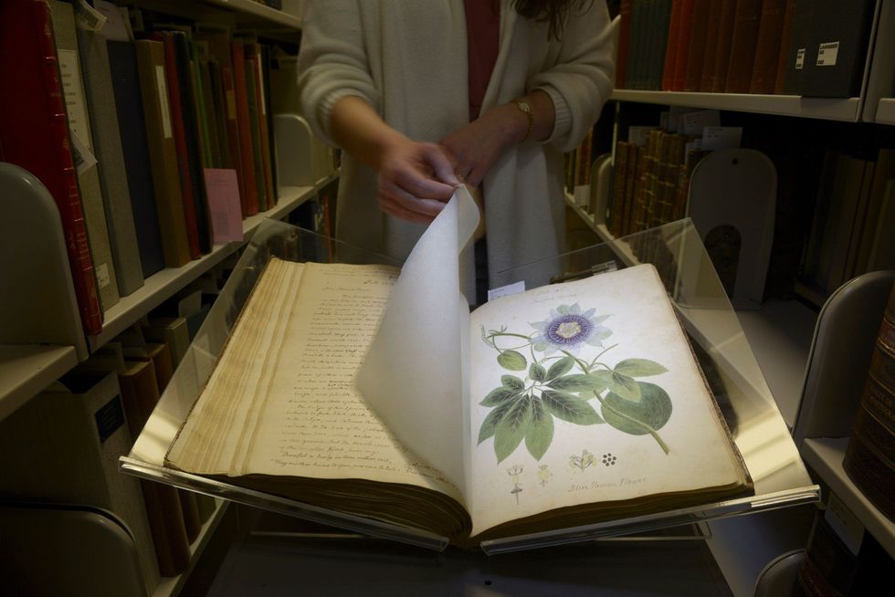 Anne Sauer het hoofd van de afdeling Rare and Manuscript Collections van Cornell University bladert door het manuscript van Wollstonecraft in het archief van de bibliotheek