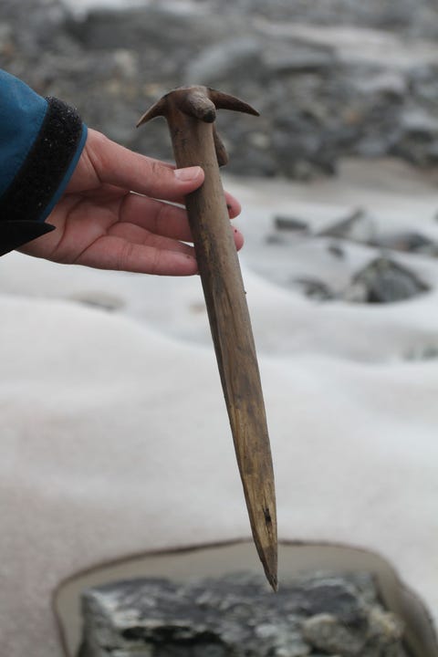 Deze 900 jaar oude klopper die hier op zijn kop wordt gehouden werd aangetroffen in de ijsvlakte van Lendbreen