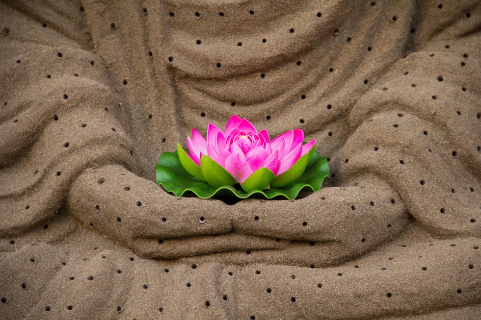 lotus flower in lord buddha hands, mumbai, maharashtra, india, asia