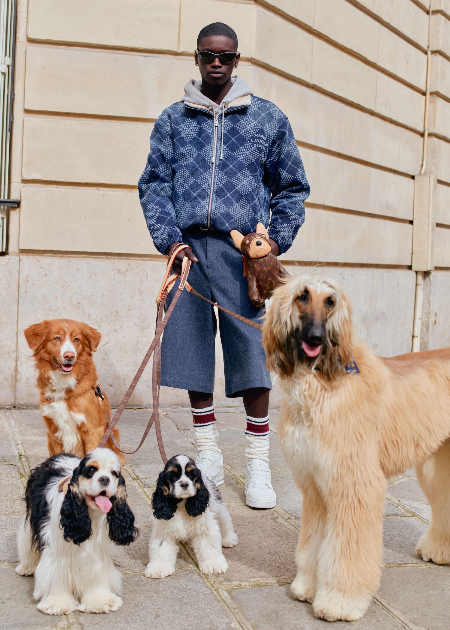 Louis vuitton clothes for dogs best sale