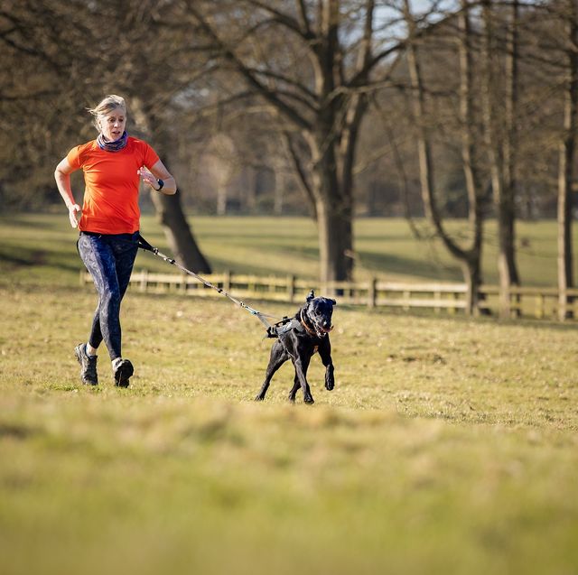 running with a dog lead how to do it correctly