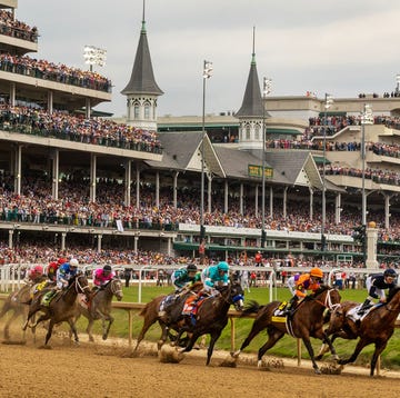 149th kentucky derby