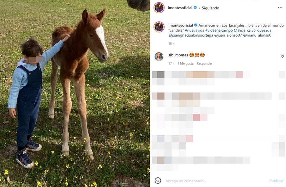 lourdes montes comparte una foto de su hijo con un caballo recién nacido