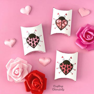 love bug valentine's day craft box