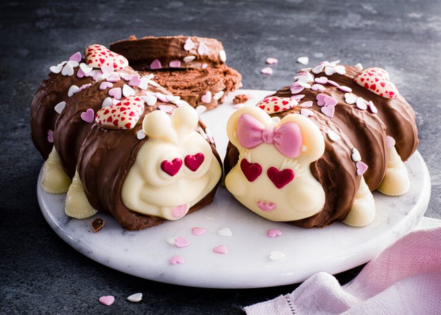 colin and connie caterpillar love cocoon valentines