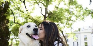 loving dogs most affectionate