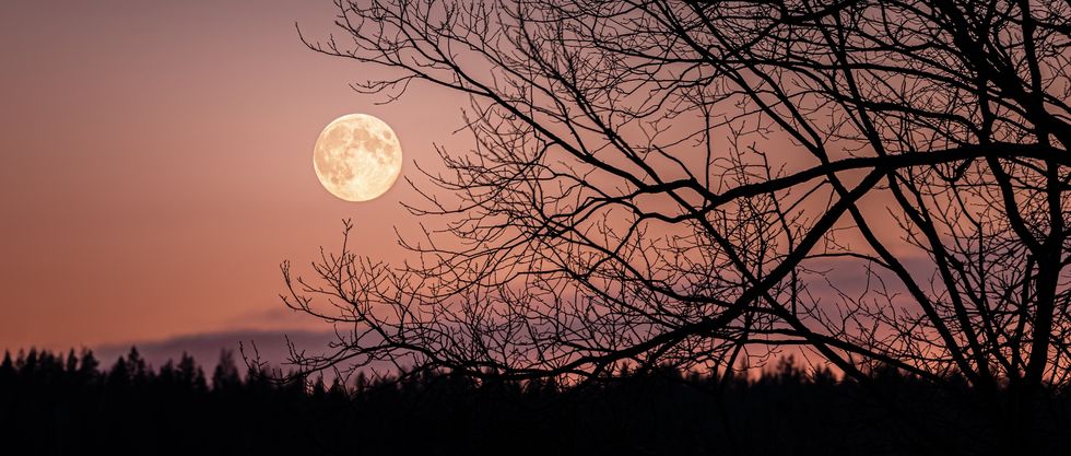 low angle view of silhouette of bare tree against sky at night,finland