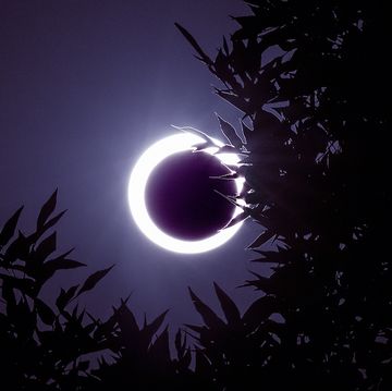 low angle view of silhouette tree against annular solar eclipse in sky at night