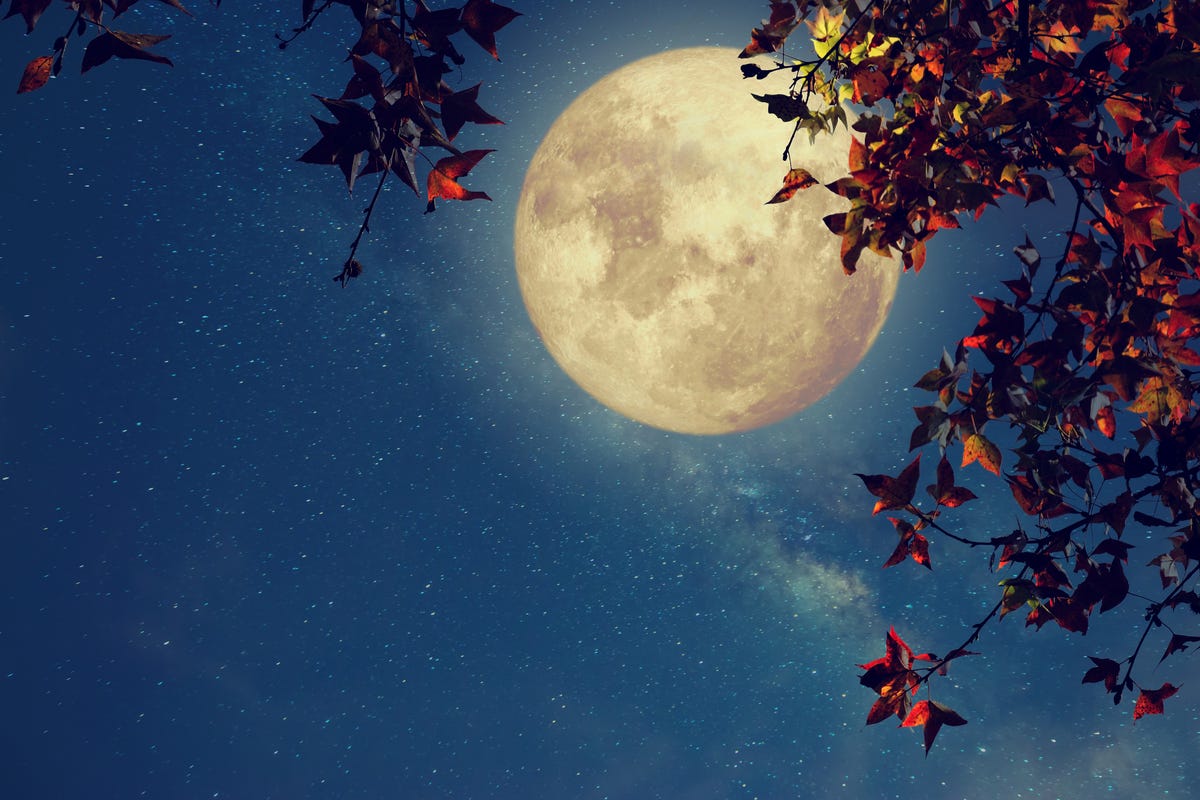 What October 2021's Full Moon in Aries Means For Your Zodiac Sign