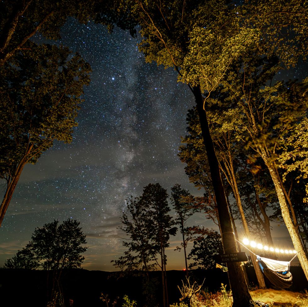 low angle view of trees against sky at night,hector,pennsylvania,united states,usa
