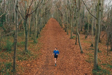 low angled drone view of a runner on a treelined trail