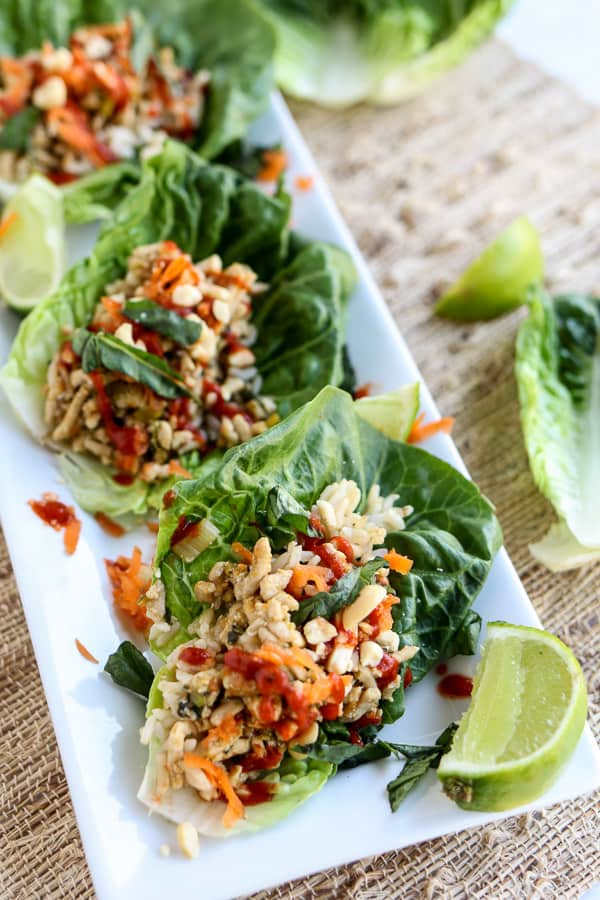 25 Easy Ground Chicken Recipes — Ground Chicken Burgers, Meatballs, and