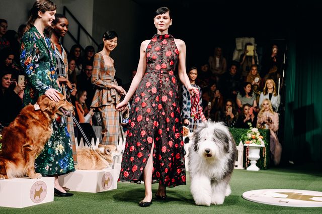 Pup Designer Wear, Dog, Brand New Louis Vuitton Designerinspired Dog Fur  Winter Coat