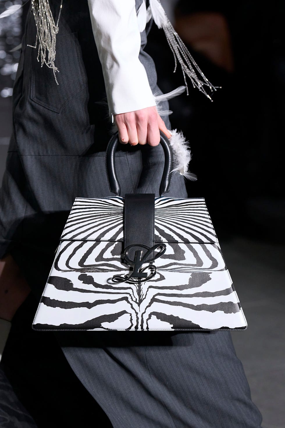 zebra