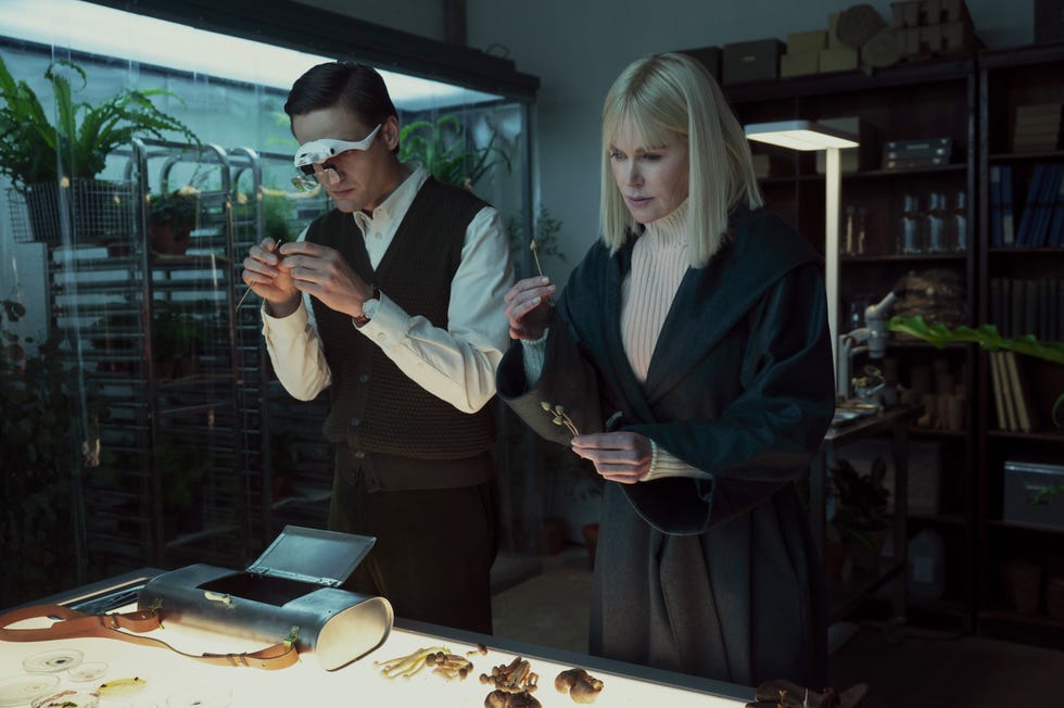 Lucas England, Nicole Kidman, nine Perfect Stranger's season 2