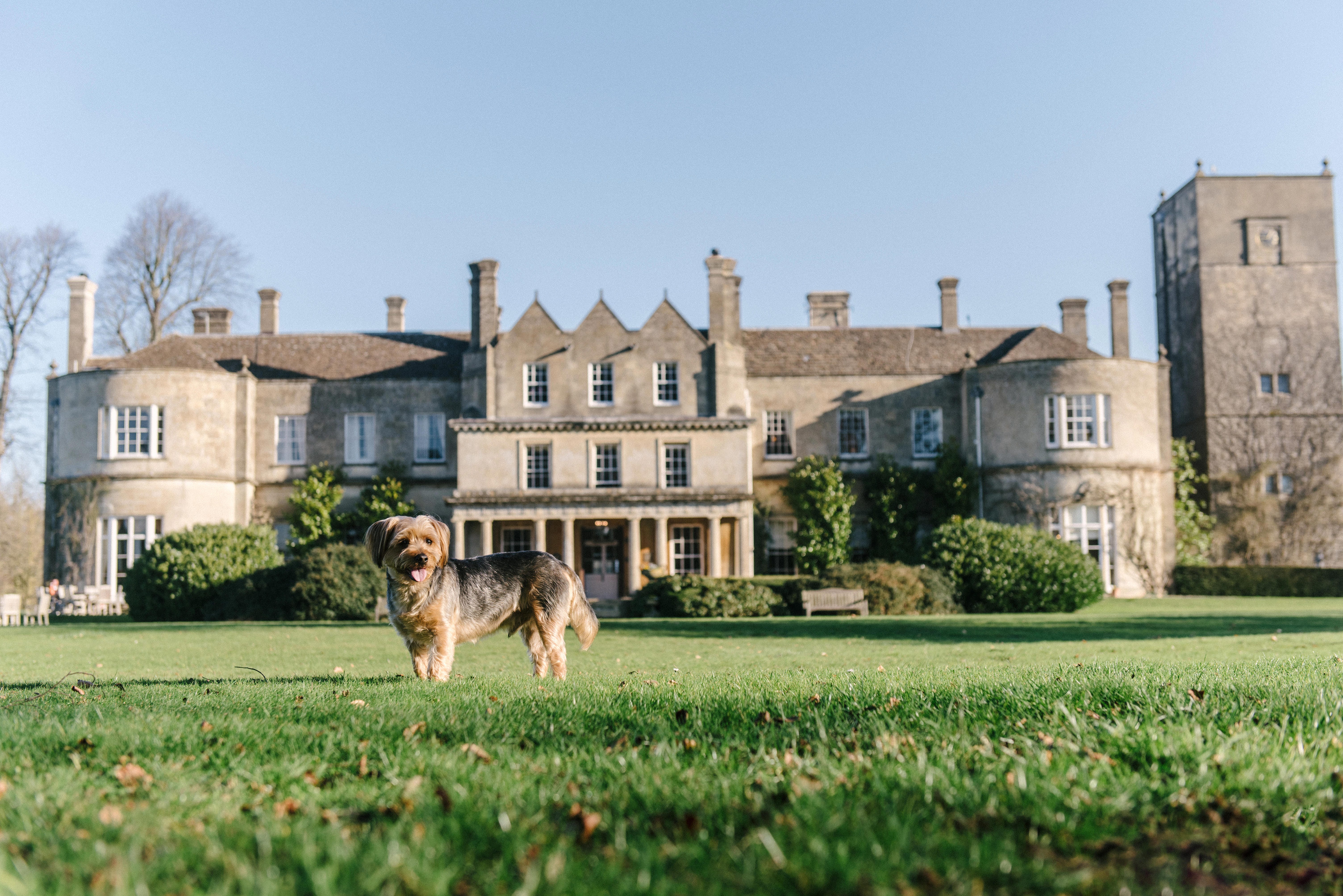dog friendly hotels uk