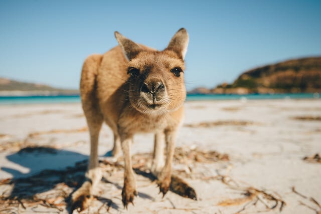 Jaw Dropping Photos Of The Australian Outback