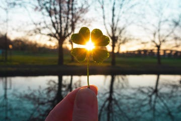 lucky charm magic four leaf clover