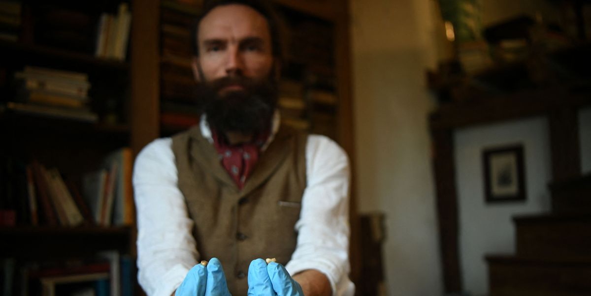 Scientists Analyzed the Genome of a Late Neanderthal’s DNA