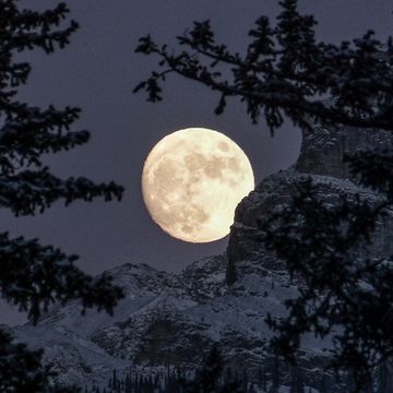 Luna Piena in Bilancia: effetti e oroscopo del 19 aprile segno per segno