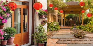 a patio with lanterns and plants