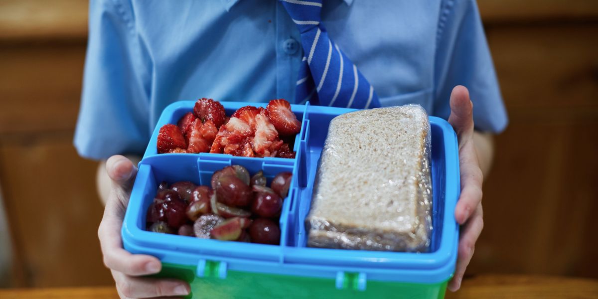 The Non-Toxic Lunchbox - What To Look For And What To Avoid