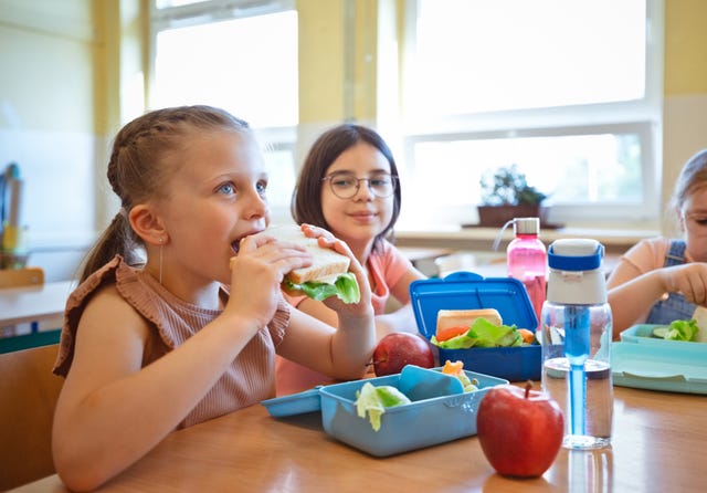 lunchbox hygiene how to clean