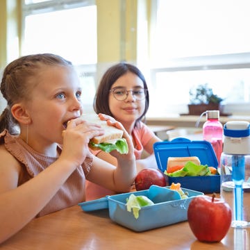 Lunchbox hygiene how to clean lunchbox hygiene how to clean