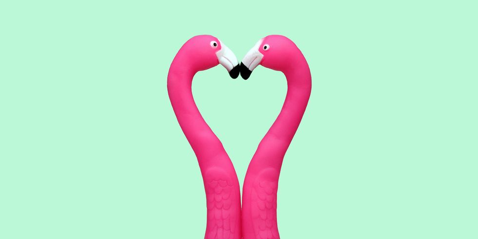 two flamingo toys making a love heart shape