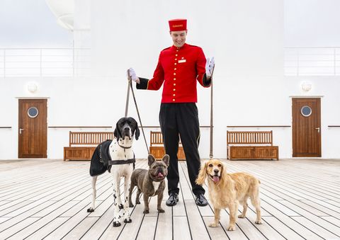 kennels photography for cunard on board queen mary 2 in southampton
picture date sunday august 19, 2018