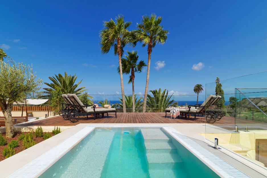 a pool with palm trees and the sea in the background