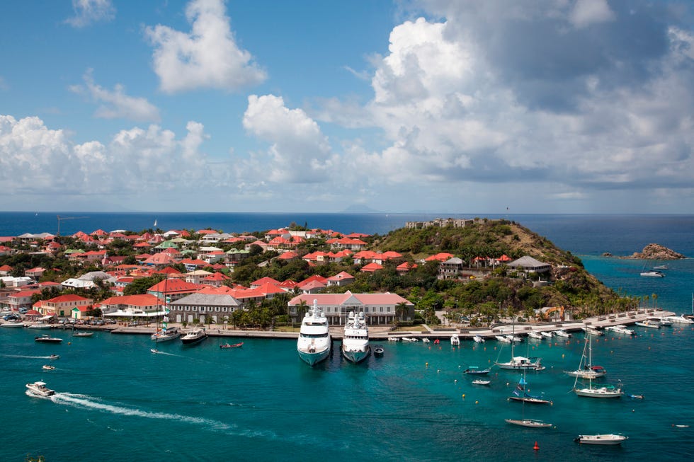 luxury yachts in harbor