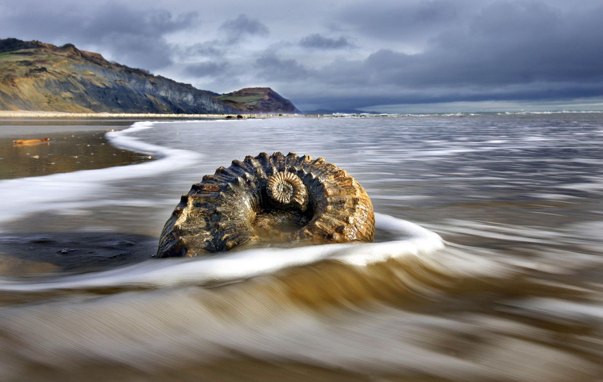 Een dikke laag van fossiele schelpen bedekt dit strand vol schatten uit een ver verleden in de buurt van Charmouth en Lyme Regis in Dorset Engeland